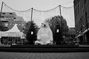 A large polar bear statue, flanked by two Christmas trees. There are decorative lights and there are building surrounding the subject of the black and white photo.