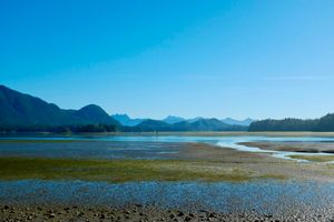 A landscape view of mudflats with Meares island in the midground and mountains in the background