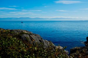 Looking out across the Salish Sea. Some rocks and plants in the foreground. One boat on the horizon, mountains in the distance.