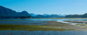 A view over mudflats near Tofino, Vancouver Island. The sky is blue and there are lots of mountains in the distance. There's pooled water in the foreground with green and brown patches.